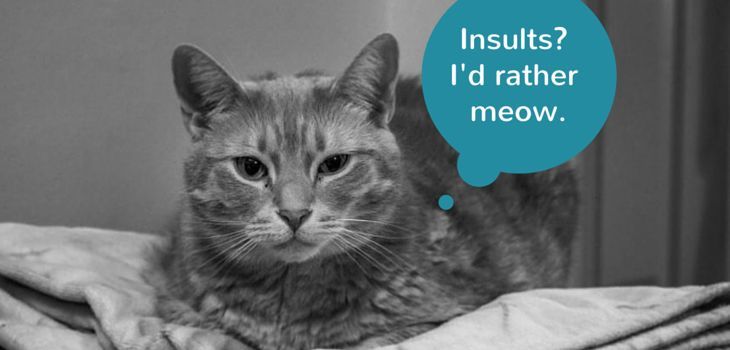 insults id rather meow