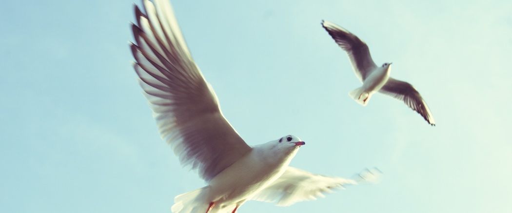 poor leadership leads to an unhappy wife